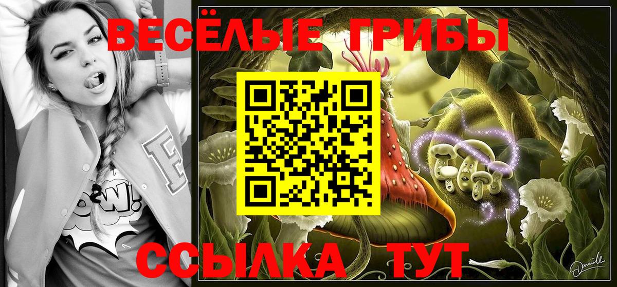Нерюнгри  Галлюциногенные грибы Psilocybe  Галлюциногенные грибы Psilocybine cubensis  Вход с VPN 