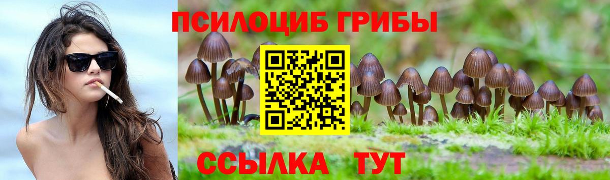 Псилоцибиновые грибы мухоморы Нерюнгри